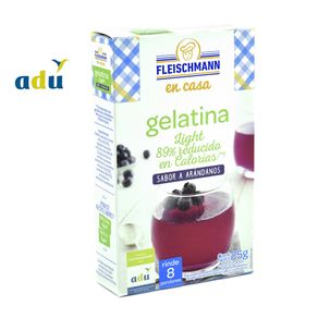 Gelatina-Fleischmann-Light-Arandanos-8-Porciones-25Gr-1-3585
