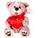Peluche-Oso-C-Corazon-20-Cm-1-19460